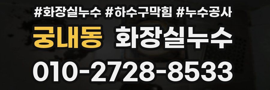 궁내동 누수탐지