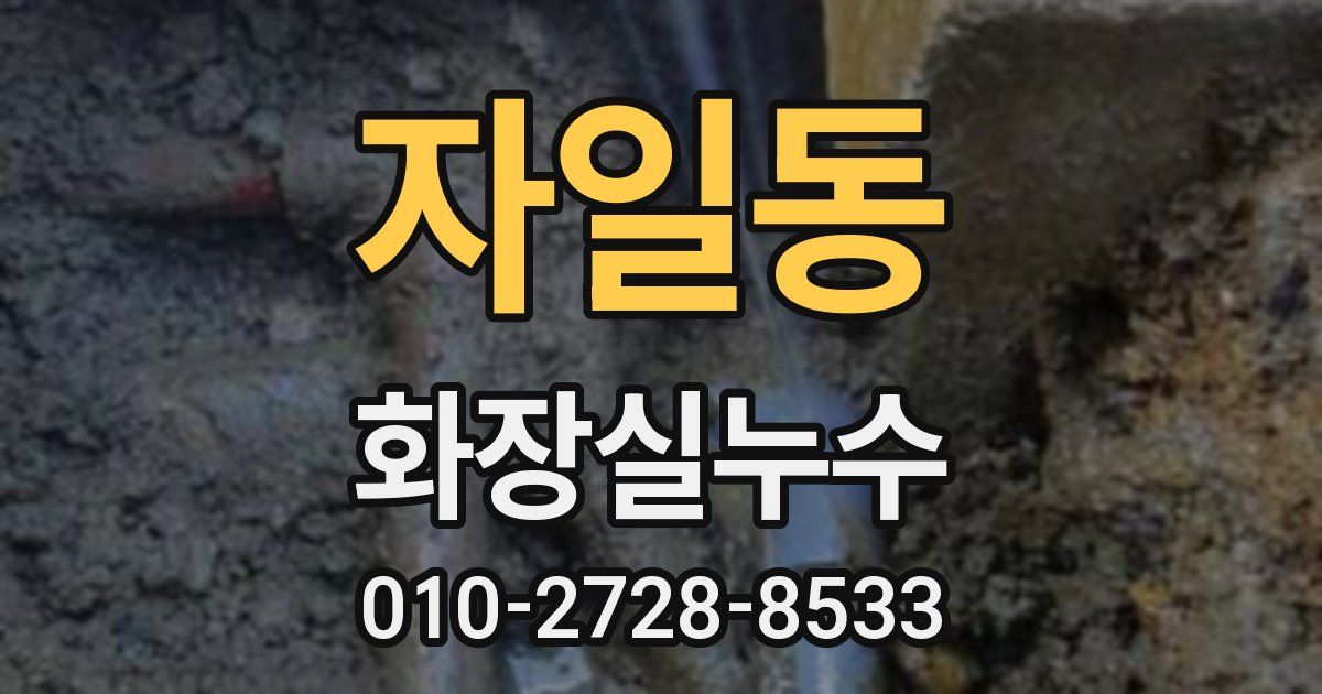 자일동 누수업체