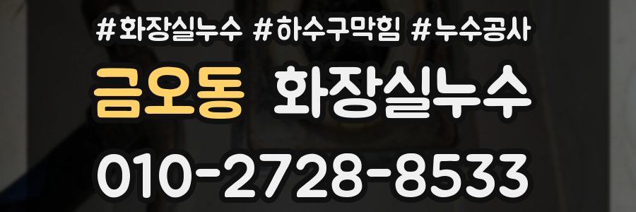 금오동 누수탐지