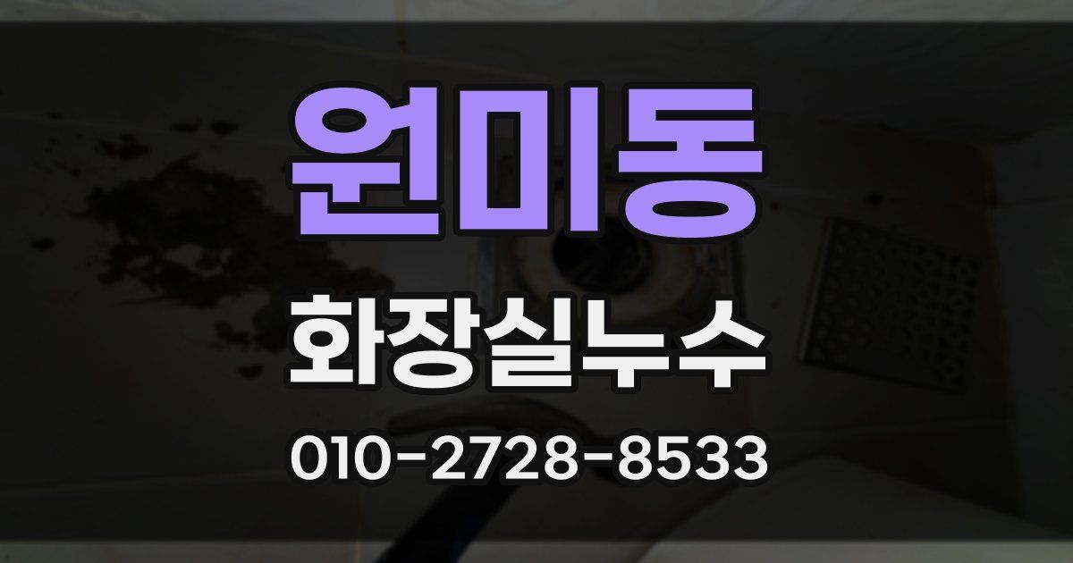 원미동 누수업체