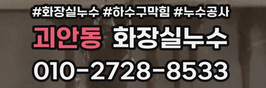 괴안동 누수탐지