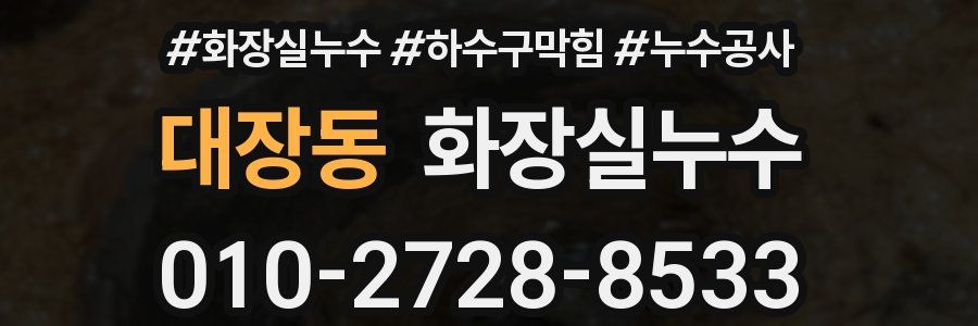 대장동 누수탐지