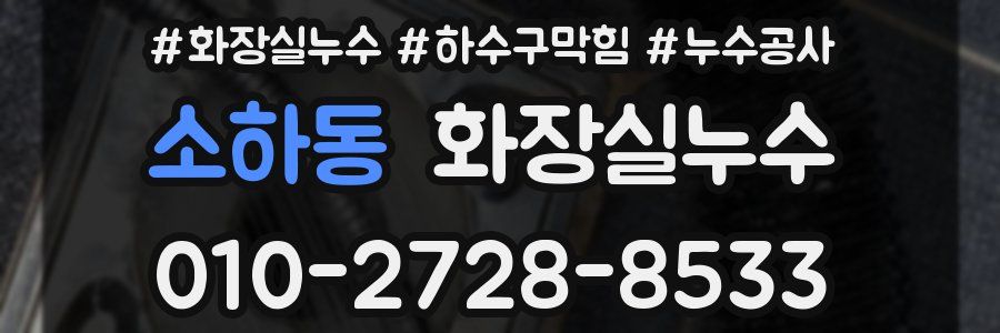 소하동 누수탐지