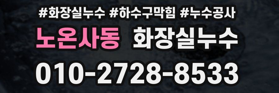 노온사동 누수탐지
