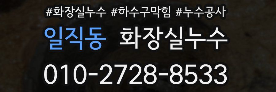 일직동 누수탐지