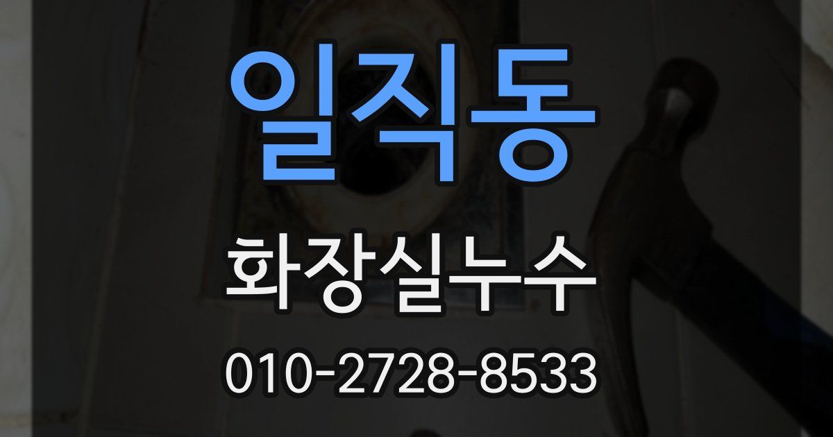일직동 누수업체