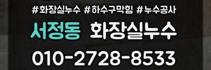 서정동 누수탐지