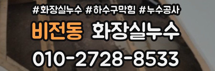 비전동 누수탐지
