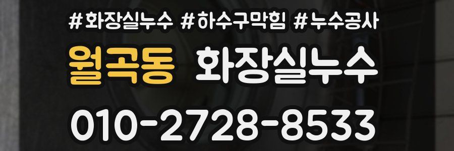 월곡동 누수탐지
