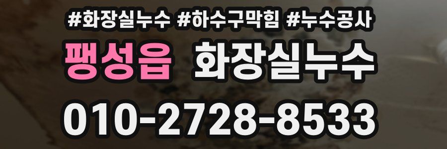 팽성읍 누수탐지