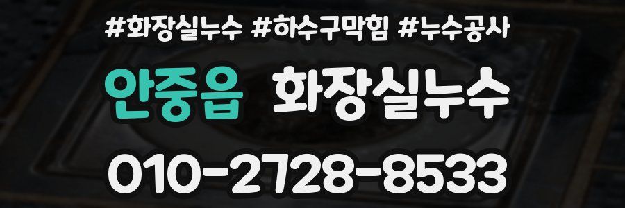 안중읍 누수탐지