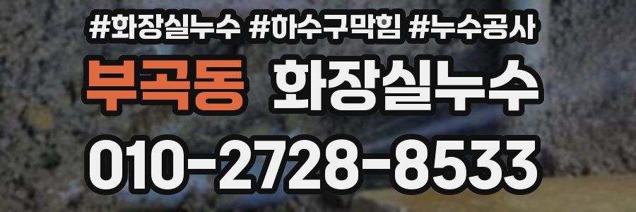 부곡동 누수탐지