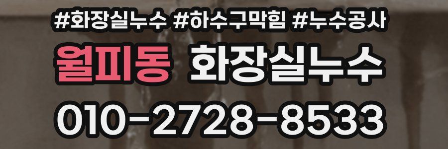 월피동 누수탐지