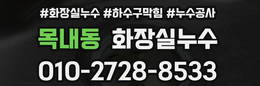 목내동 누수탐지