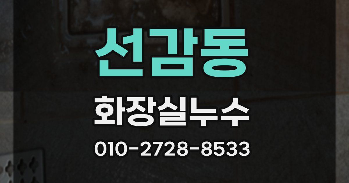 선감동 누수업체