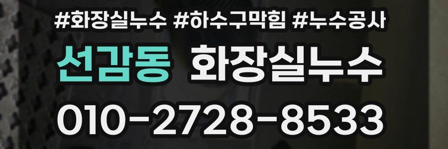 선감동 누수탐지