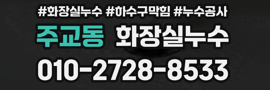 주교동 누수탐지
