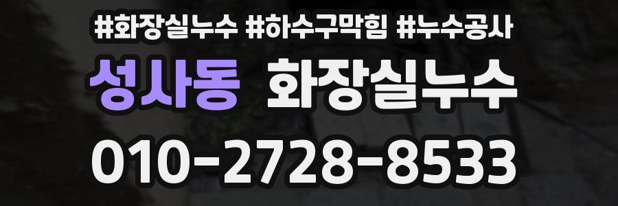 성사동 누수탐지