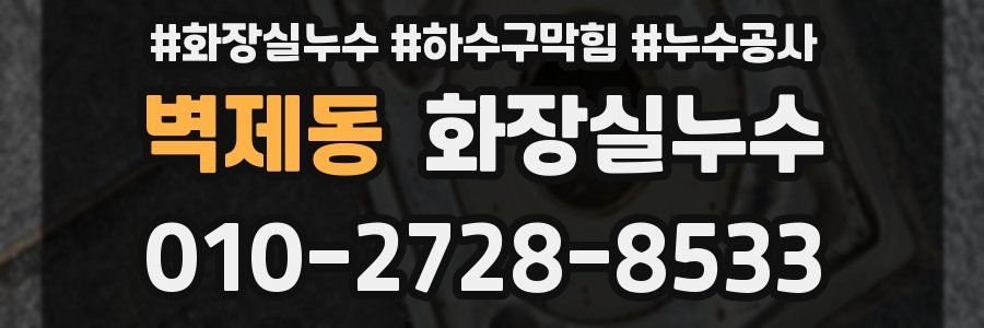 벽제동 누수탐지