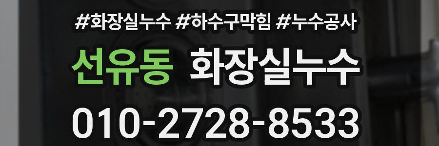 선유동 누수탐지