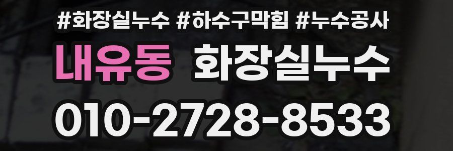 내유동 누수탐지