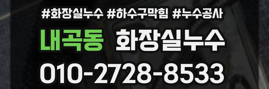 내곡동 누수탐지