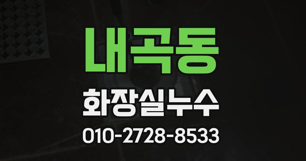 내곡동 누수업체