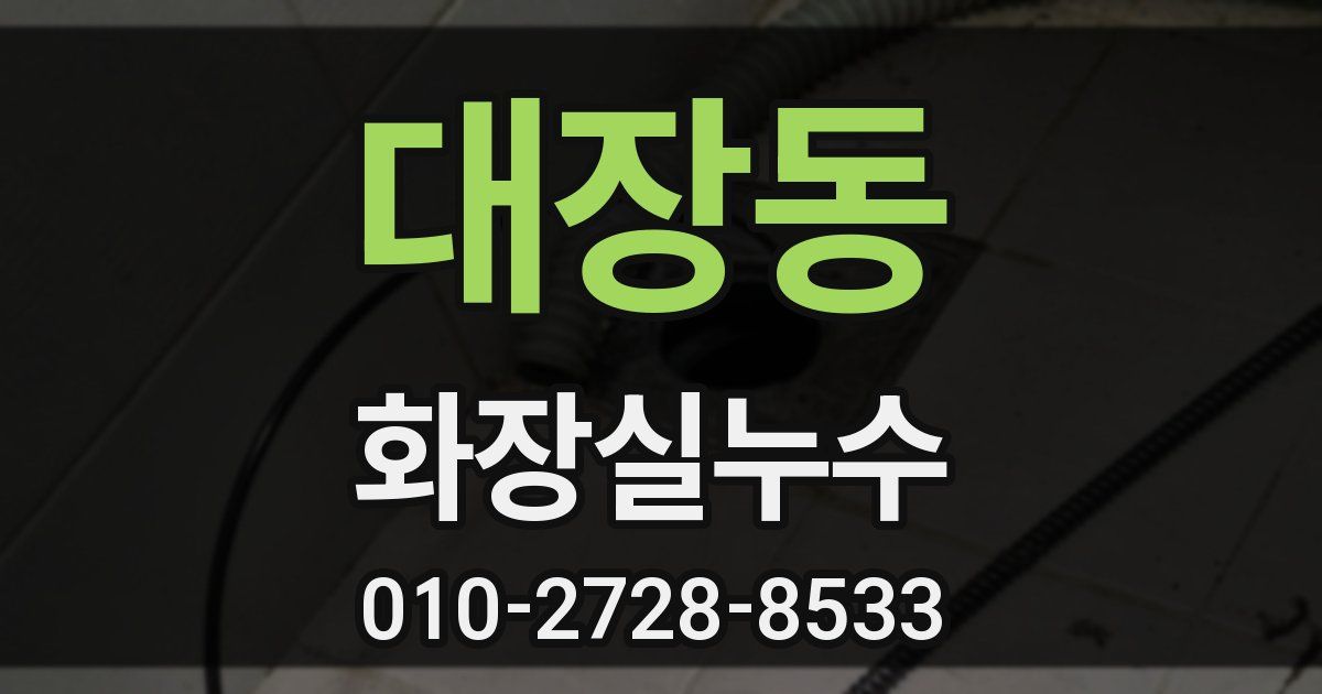 대장동 누수업체