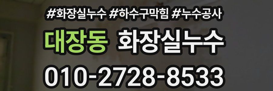 대장동 누수탐지
