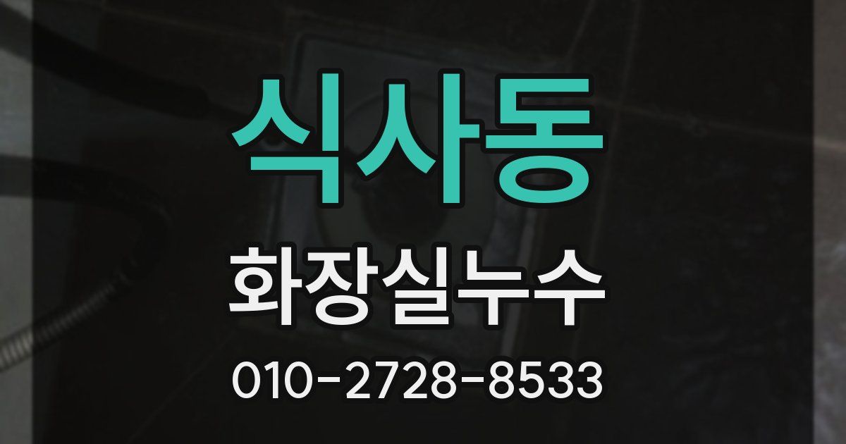 식사동 누수업체