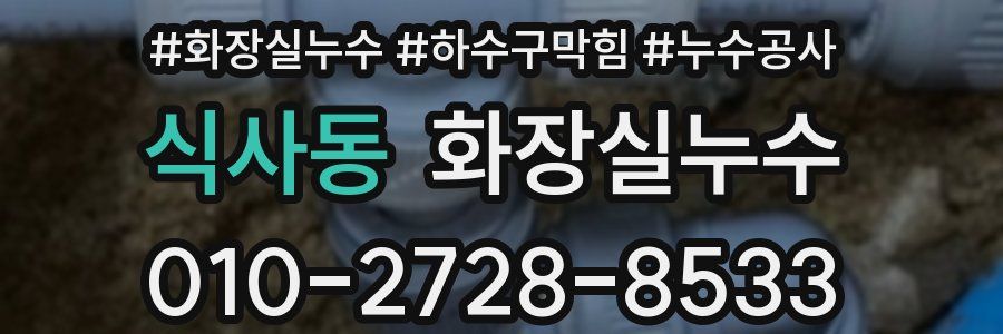 식사동 누수탐지