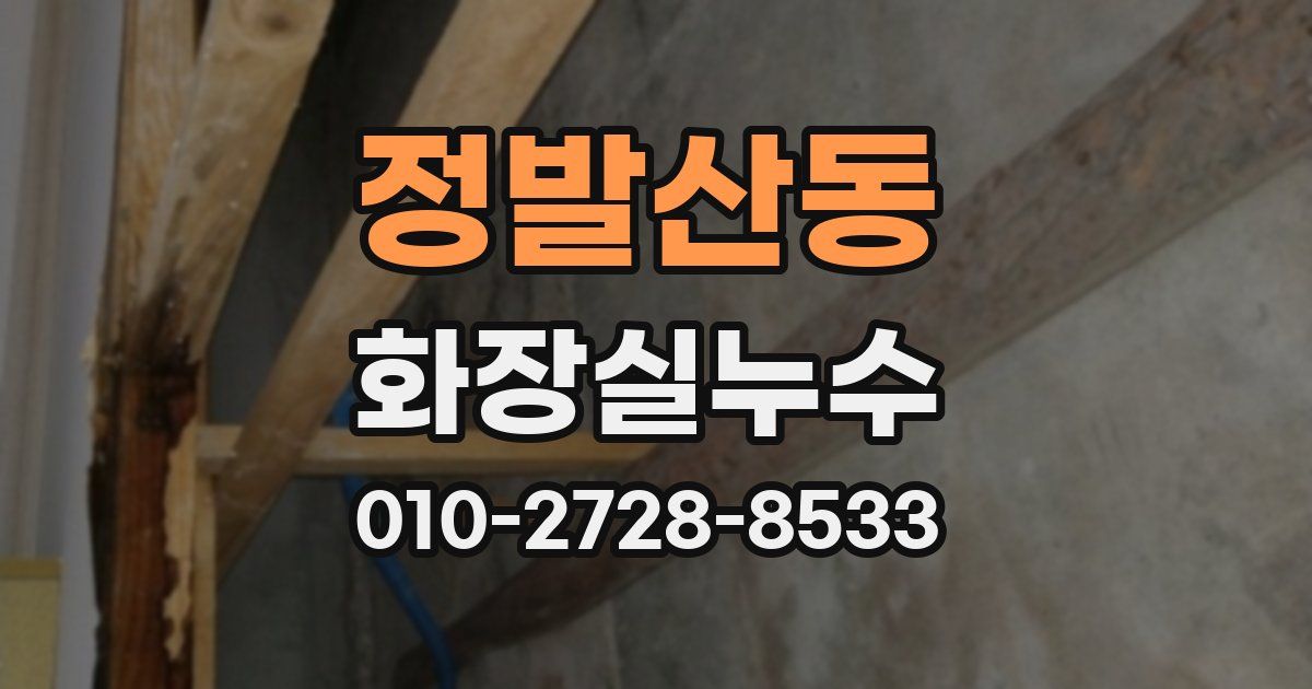 정발산동 누수업체