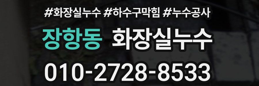 장항동 누수탐지
