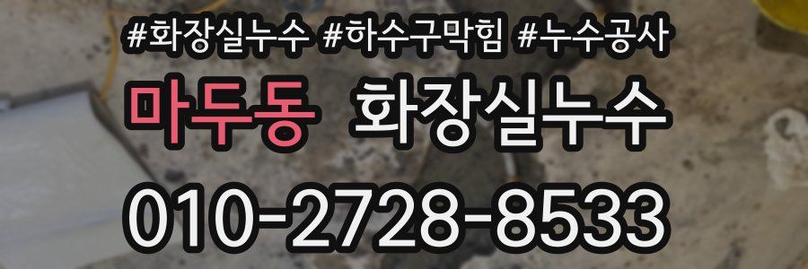 마두동 누수탐지