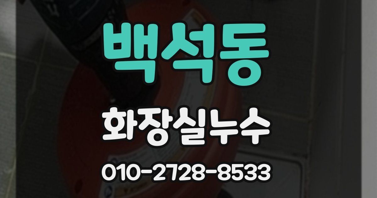 백석동 누수업체