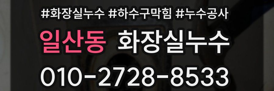 일산동 누수탐지