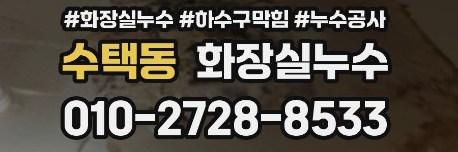 수택동 누수탐지