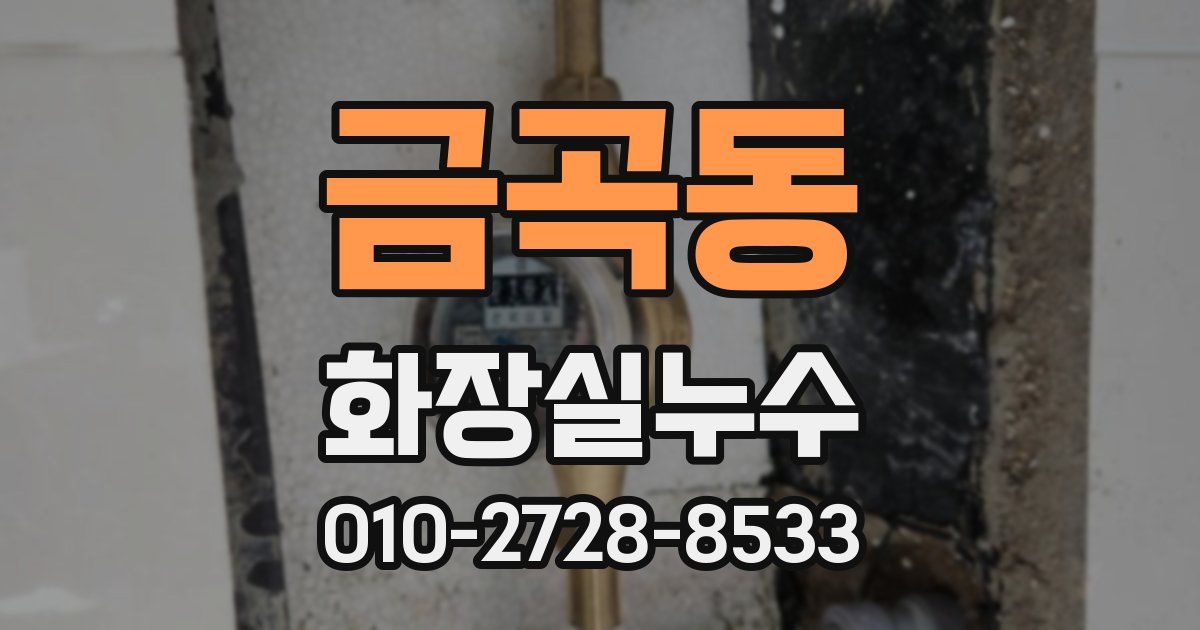 금곡동 누수업체