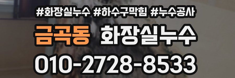 금곡동 누수탐지