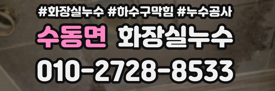 수동면 누수탐지
