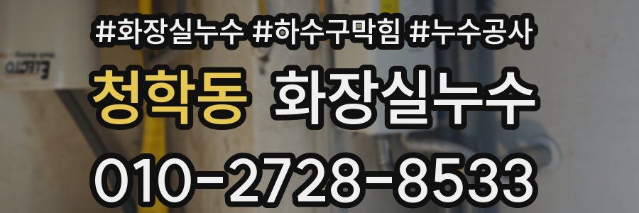 청학동 누수탐지