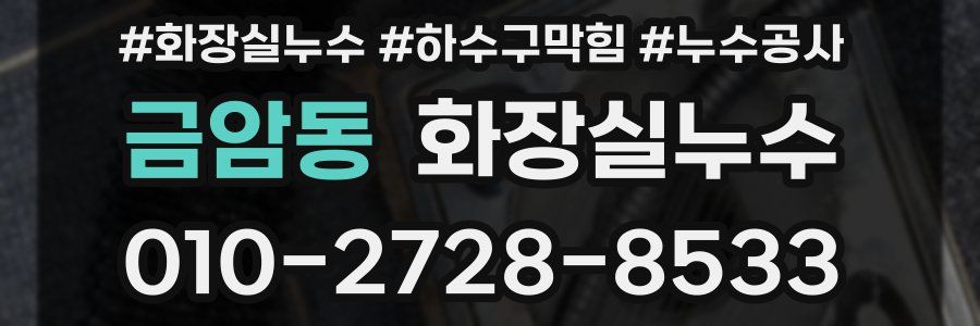 금암동 누수탐지