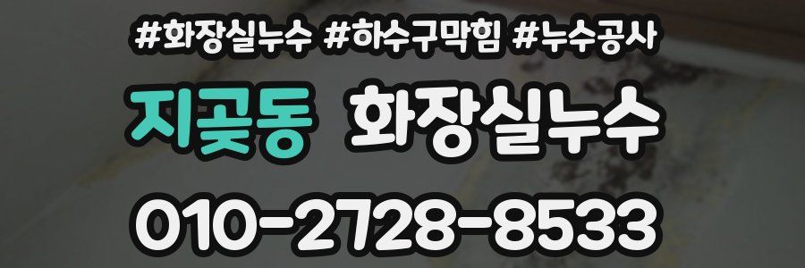 지곶동 누수탐지