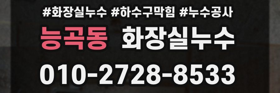 능곡동 누수탐지