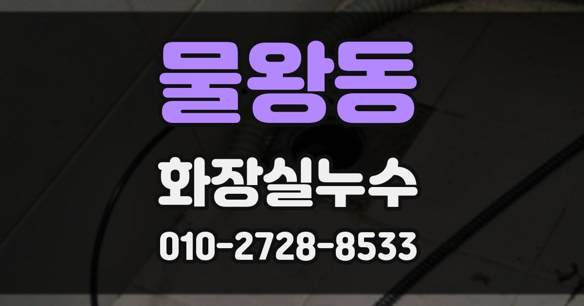 물왕동 누수업체