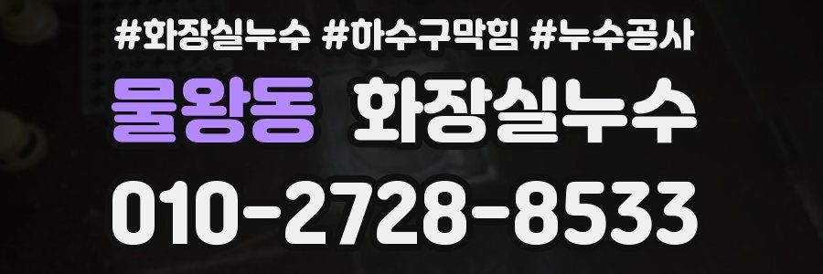 물왕동 누수탐지