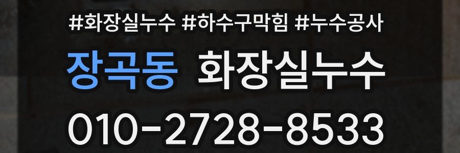 장곡동 누수탐지