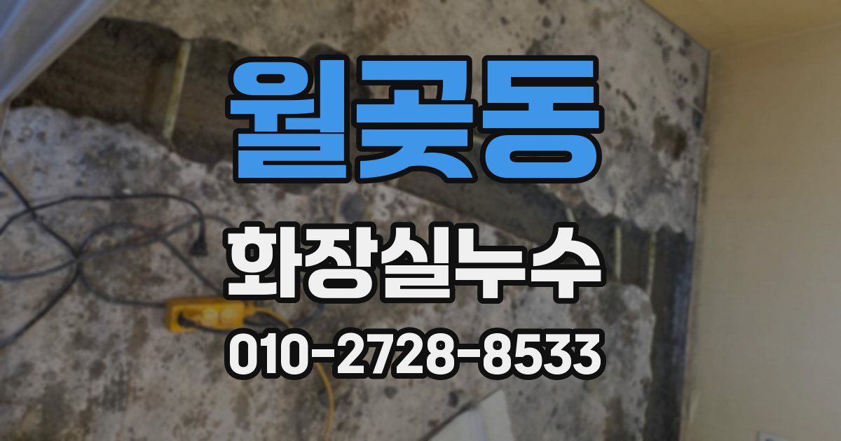 월곶동 누수업체