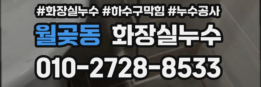 월곶동 누수탐지