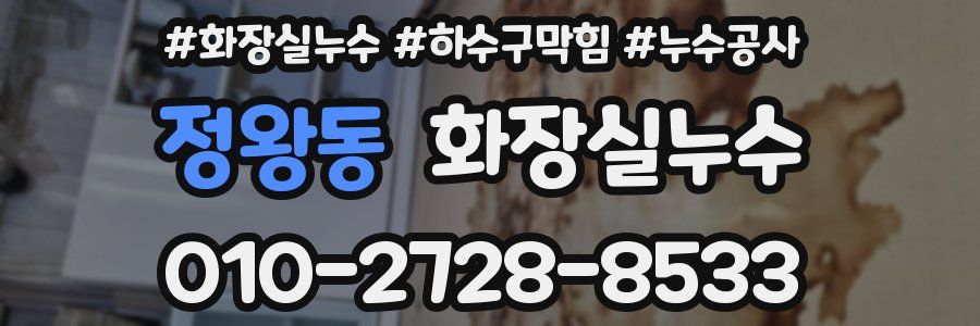 정왕동 누수탐지
